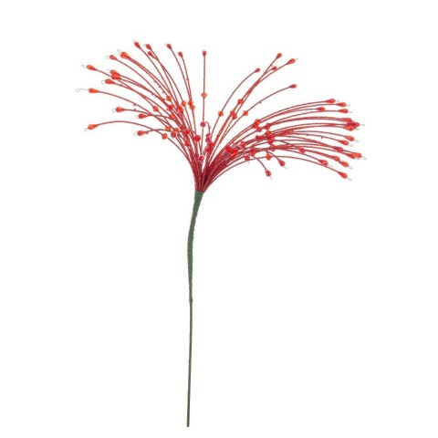 RAMO WADE ROSSO H.53